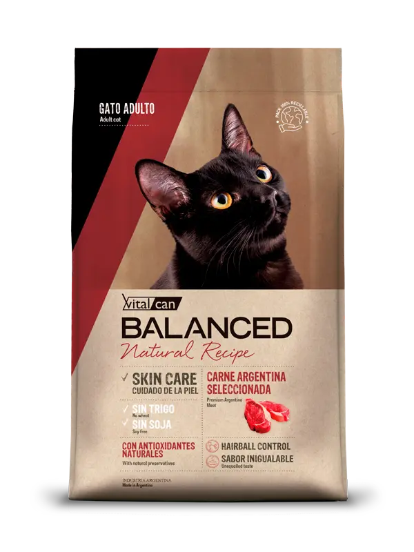 Balanced Gato Natural