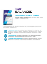 Balanced Adulto Large Breeds