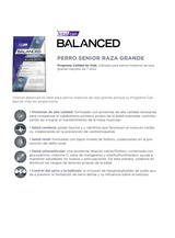 Balanced Senior Large Breeds