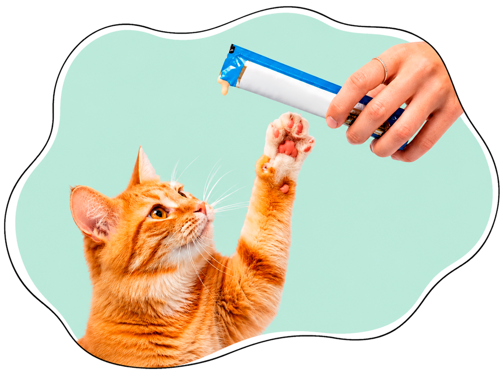 SNACK Y PREMIOS GATOS