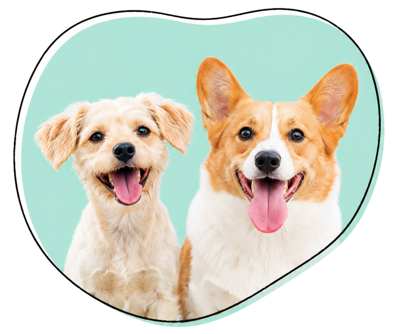 jotapets