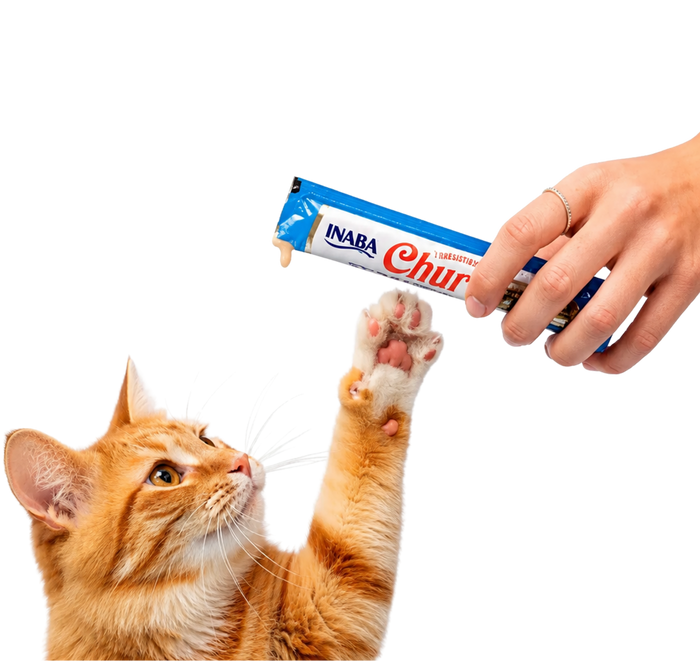 Snack y premios gatos