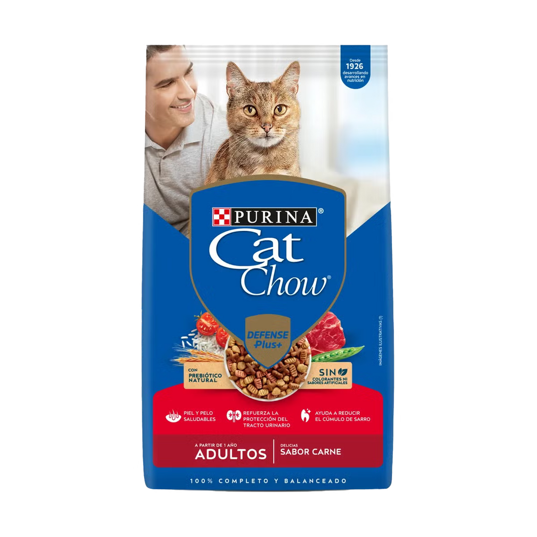 Cat Chow Carne