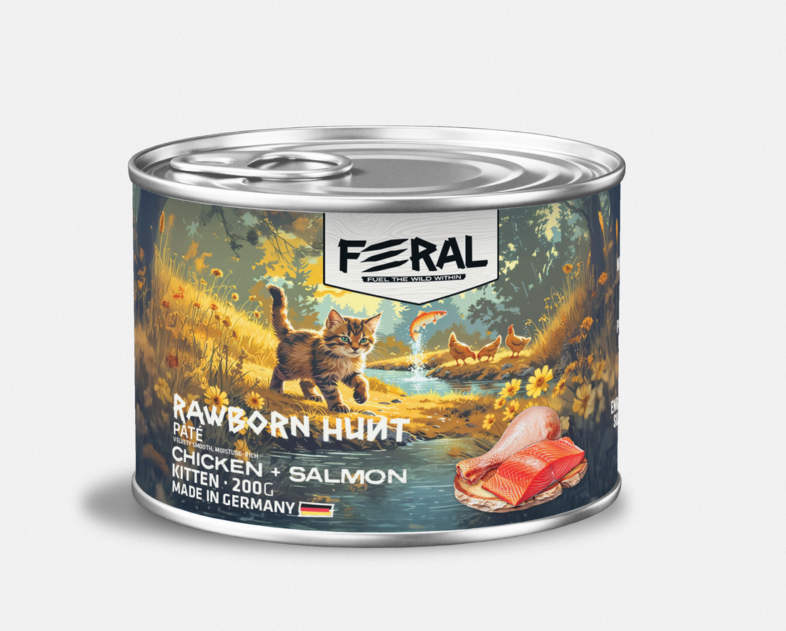 Feral Gato Rawborn Hunt Pollo y Salmon 200 gr