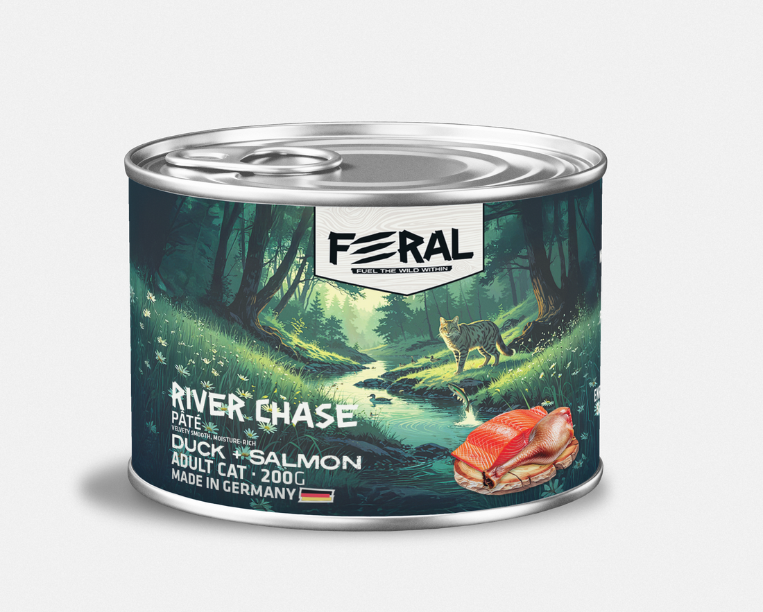Feral Gato River Chase Pato y Salmon 200 gr