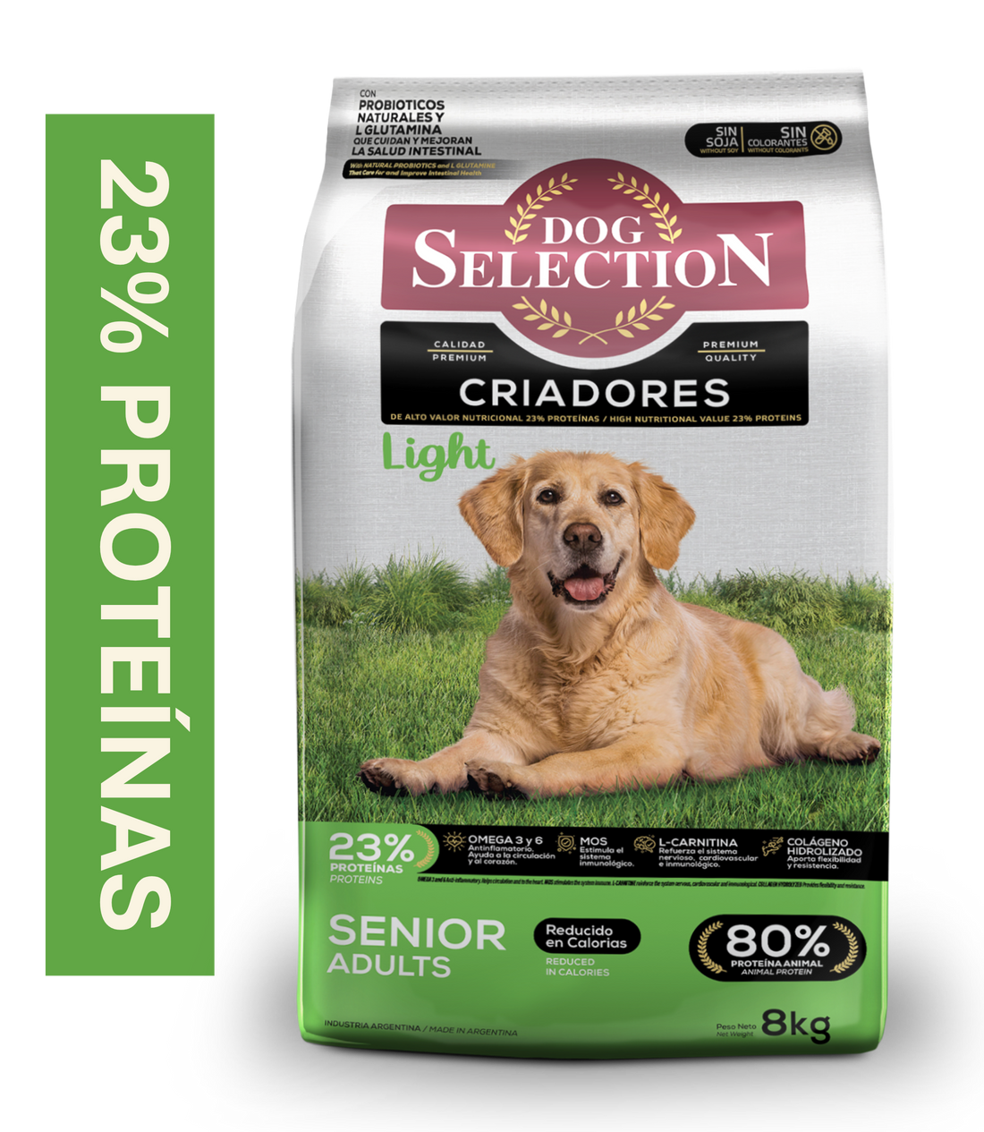 Dog Selection Senior